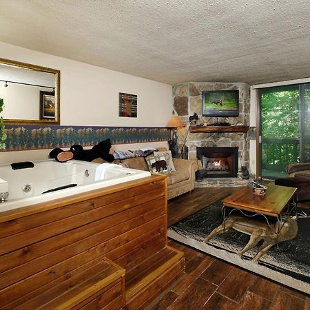 Bear Creek 167 Villa Gatlinburg Buitenkant foto