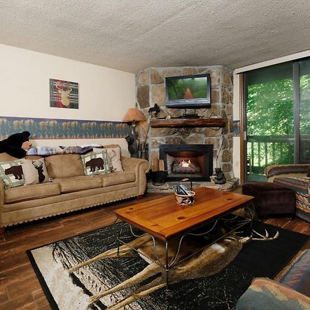 Bear Creek 167 Villa Gatlinburg Buitenkant foto